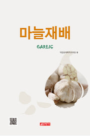 마늘재배