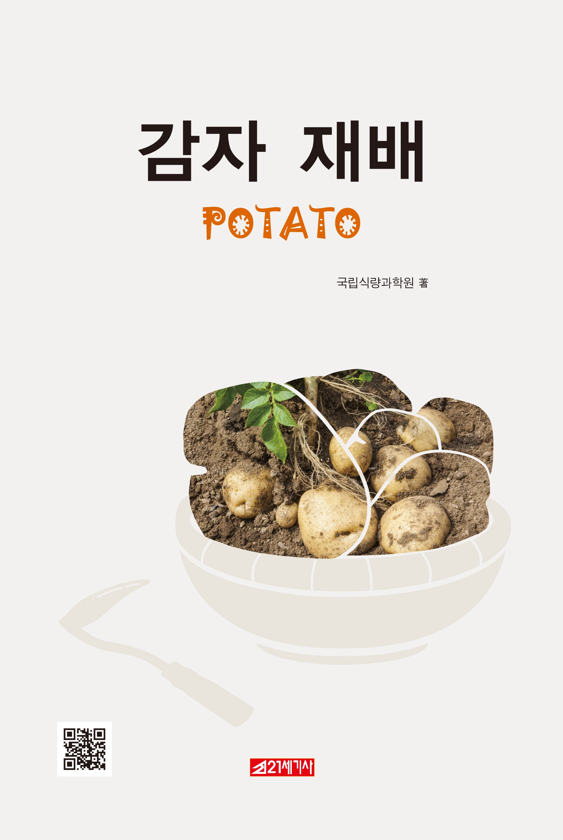 감자 재배