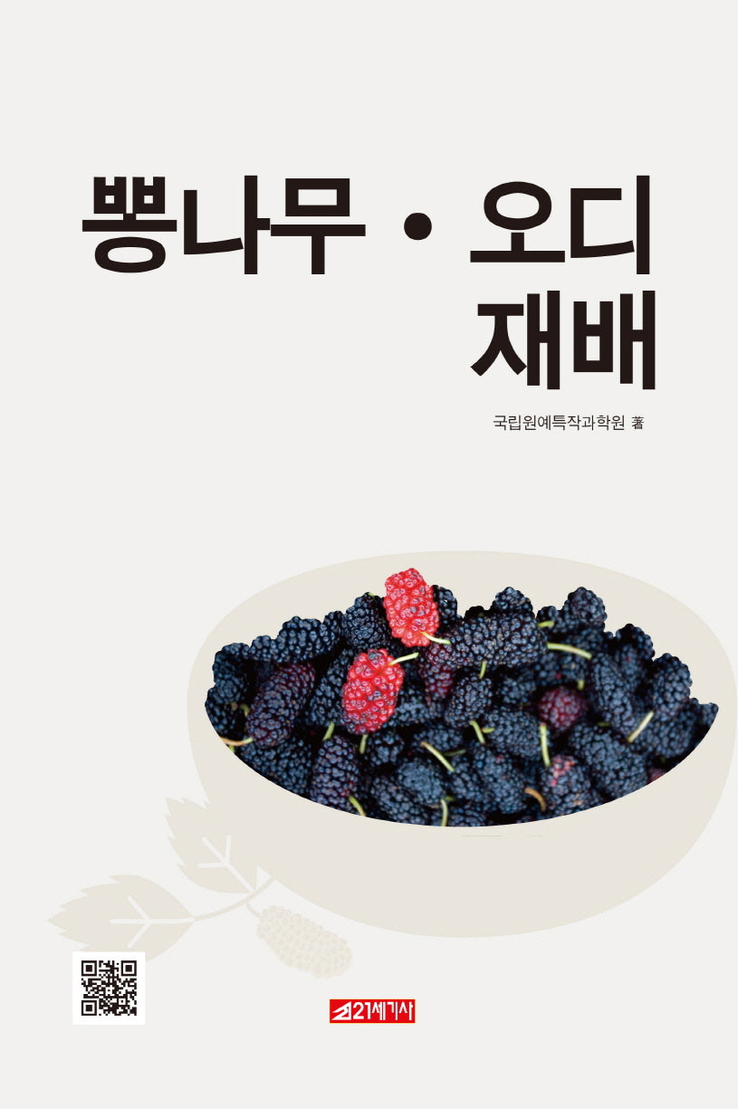 뽕나무 오디 재배