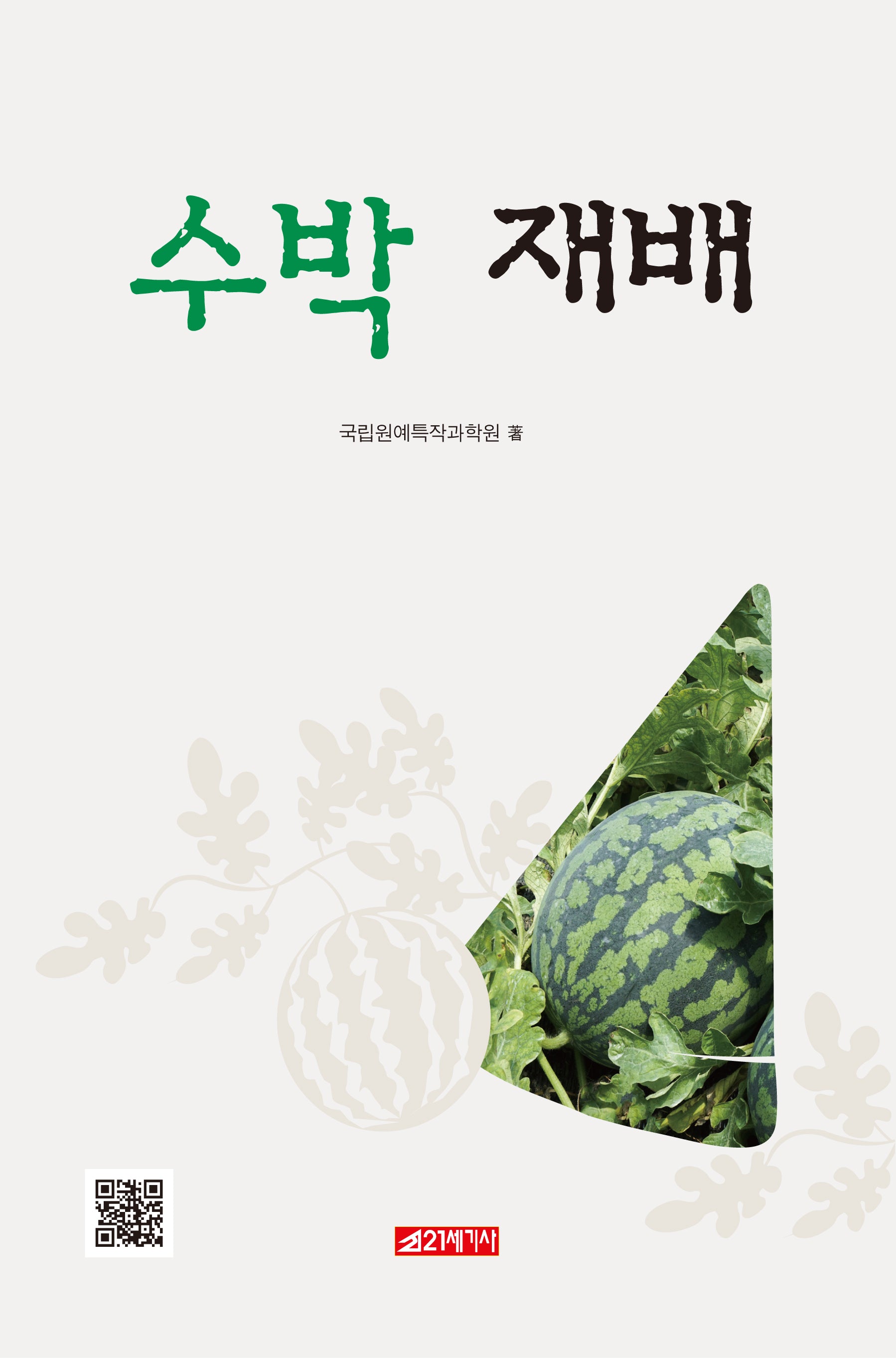 수박 재배