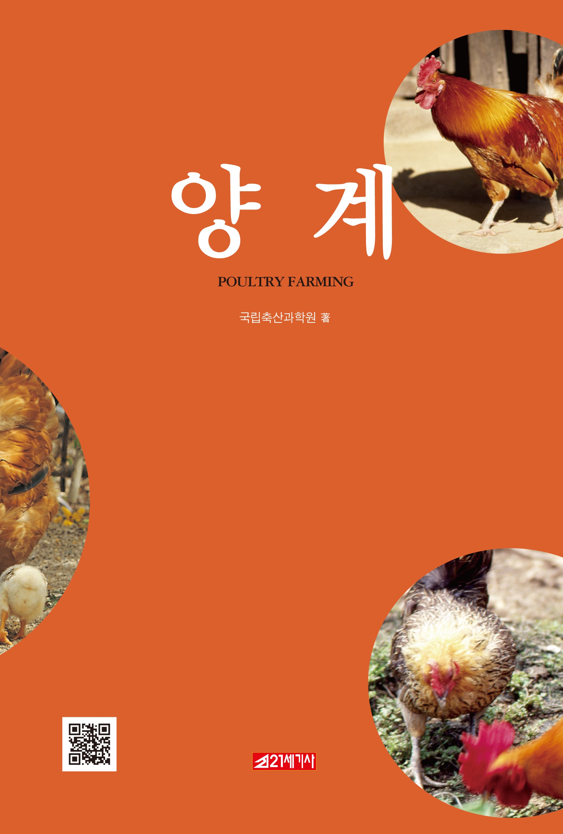양계