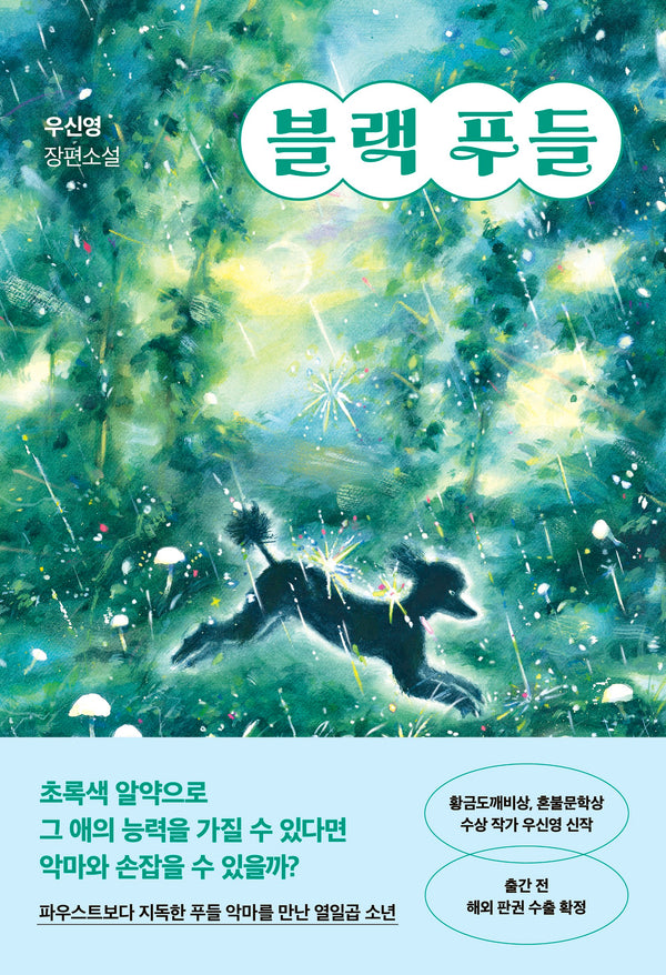블랙 푸들