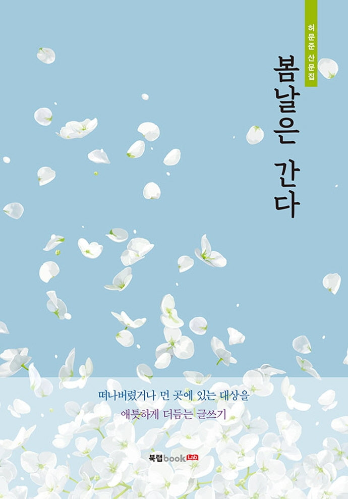 봄날은 간다