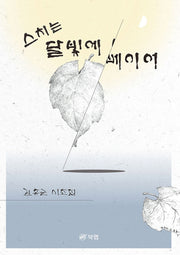 스치는 달빛에 베이어