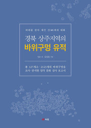 경북 상주지역의 바위구멍 유적