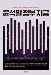 윤석열 정부 지금