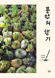 풍란의 향기