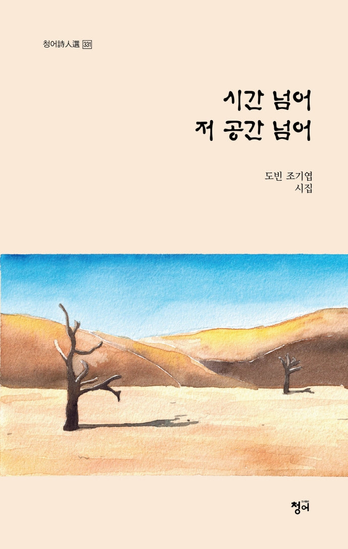 시간 넘어 저 공간 넘어(청어시인선 331)