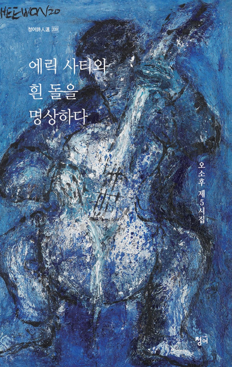 에릭 사티와 흰 돌을 명상하다(청어시인선 339)