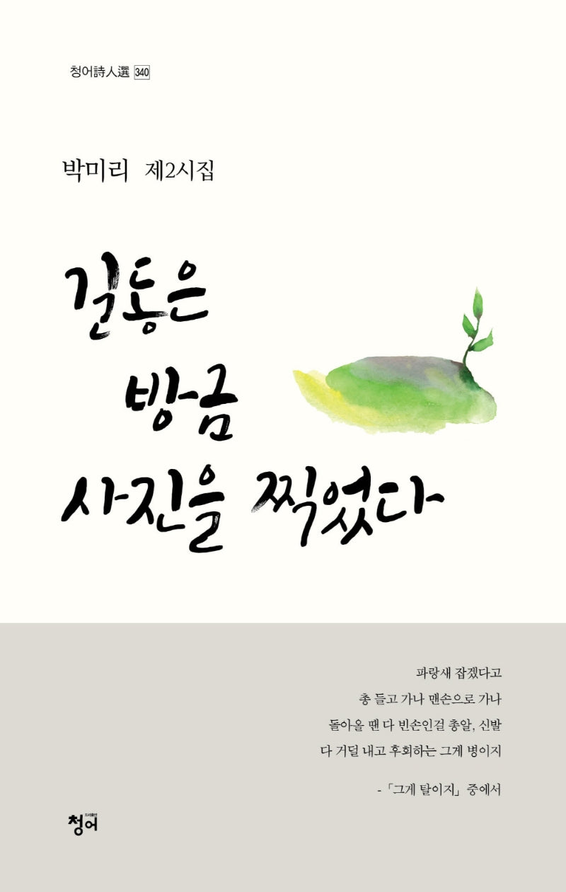 길동은 방금 사진을 찍었다(청어시인선 340)
