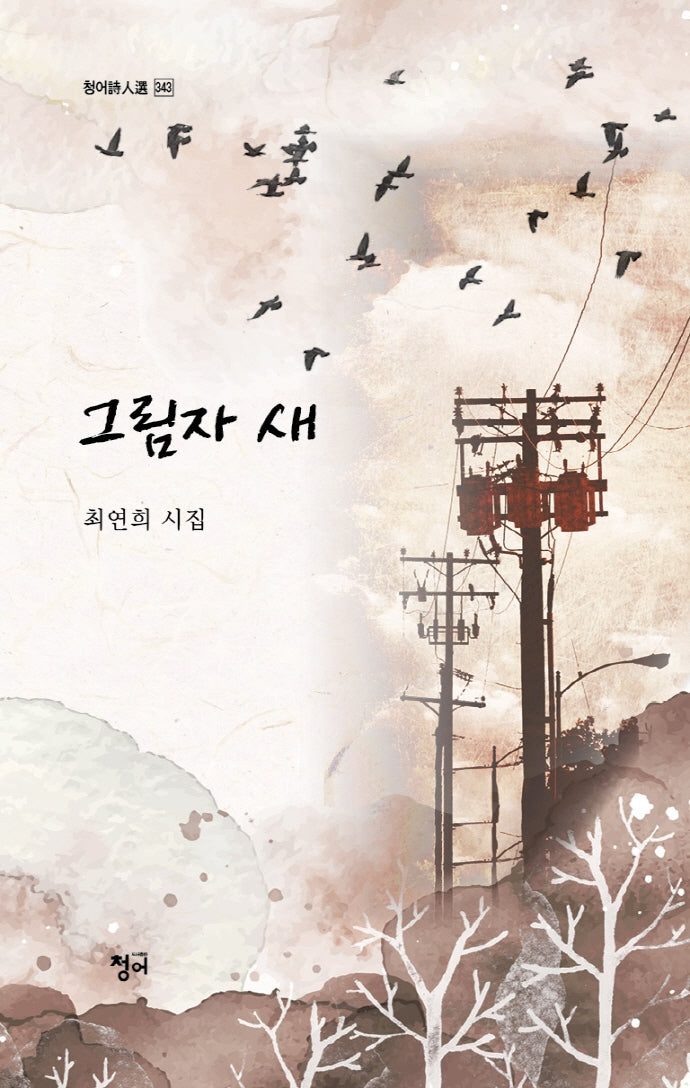 그림자 새(청어시인선 343)