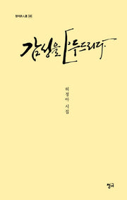 감성을 두드리다(청어시인선 346)