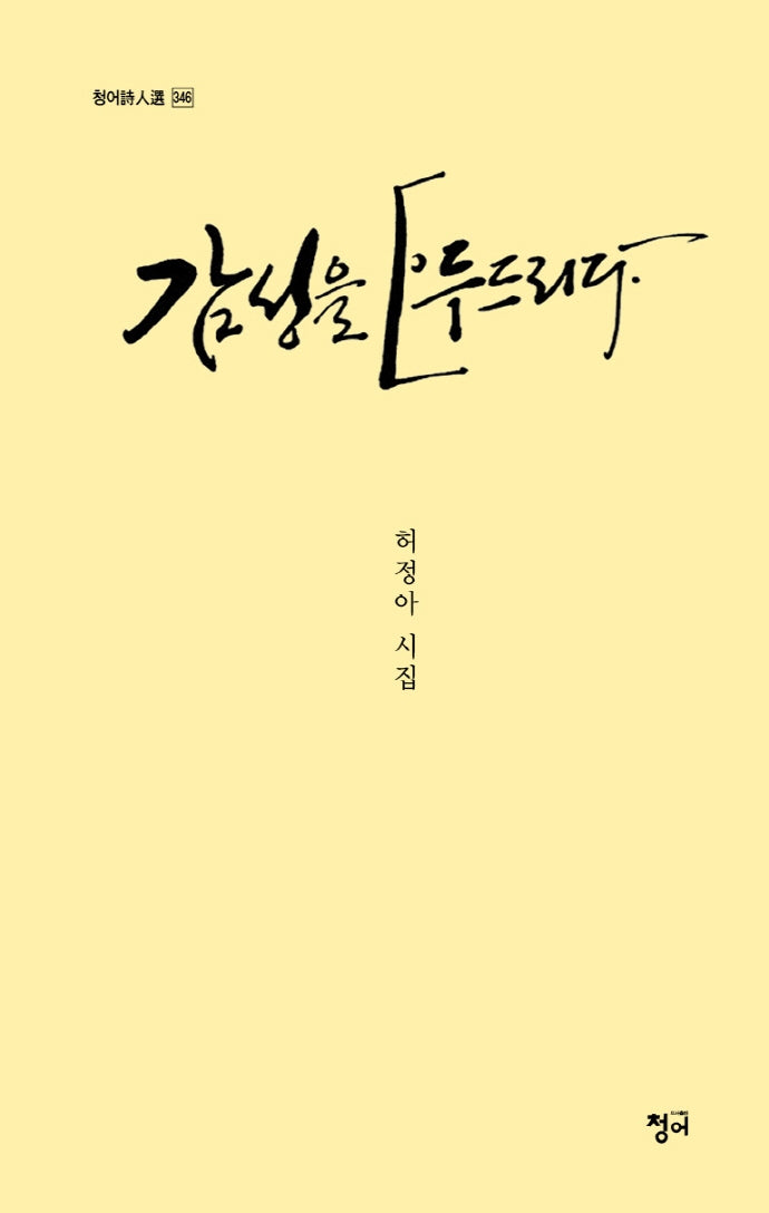감성을 두드리다(청어시인선 346)