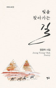 빛을 찾아가는 길(청어시인선 351)