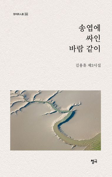 송엽에 싸인 바람 같이(청어시인선 364)