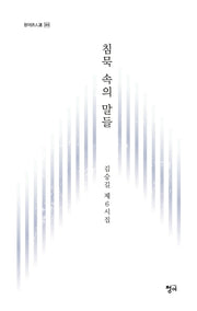 침묵 속의 말들(청어시인선 369)