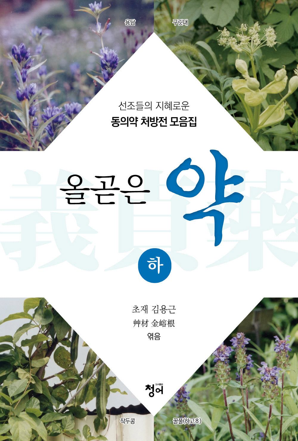 올곧은 약(하)
