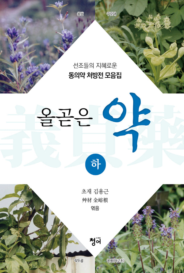 올곧은 약(하)