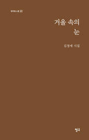 거울 속의 눈(청어시인선 387)