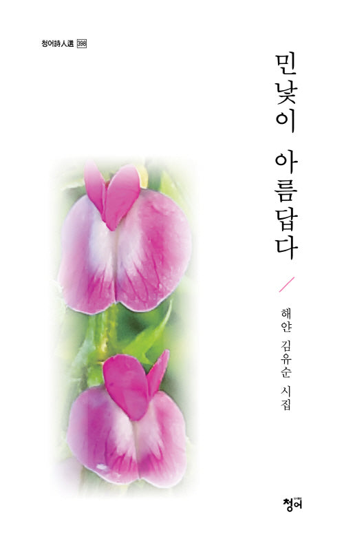 민낯이 아름답다(청어시인선 398)