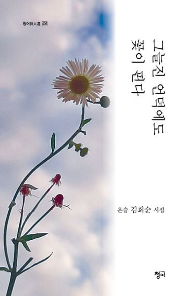 그늘진 언덕에도 꽃이 핀다(청어시인선 406)