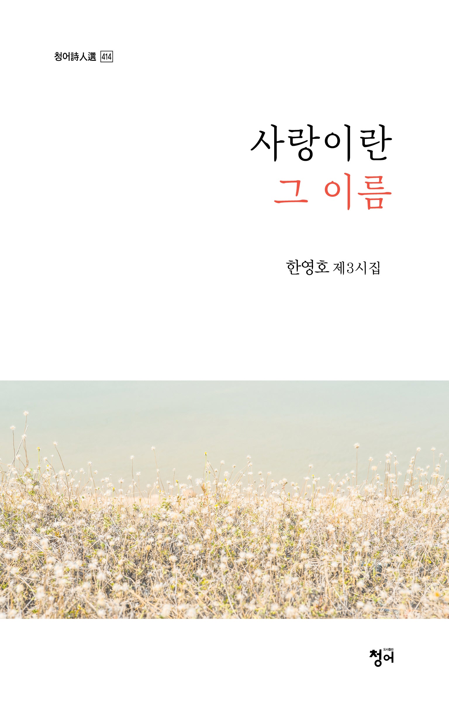 사랑이란 그 이름(청어시인선 414)