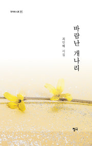 바람난 개나리(청어시인선 441)