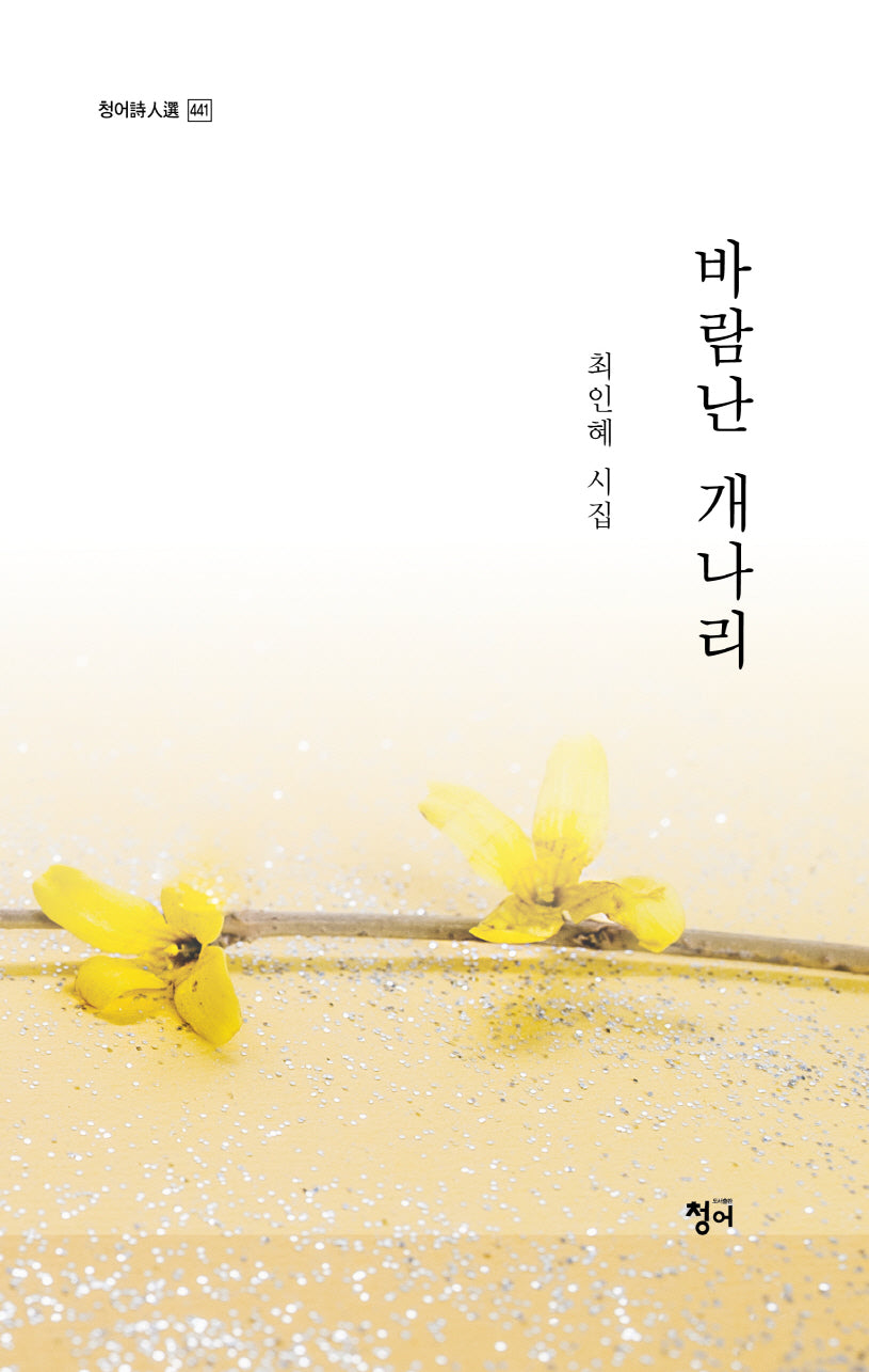 바람난 개나리(청어시인선 441)