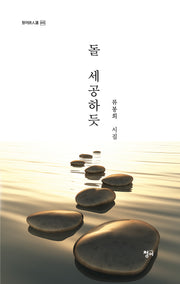 돌 세공하듯(청어시인선 445)