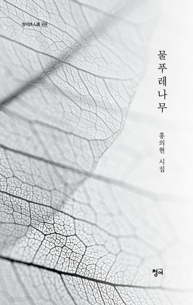물푸레나무(청어시인선 459)