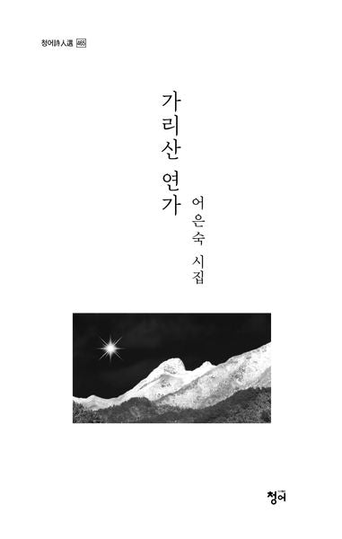 가리산 연가(청어시인선 465)