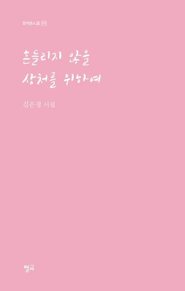 흔들리지 않을 상처를 위하여(청어시인선 475)