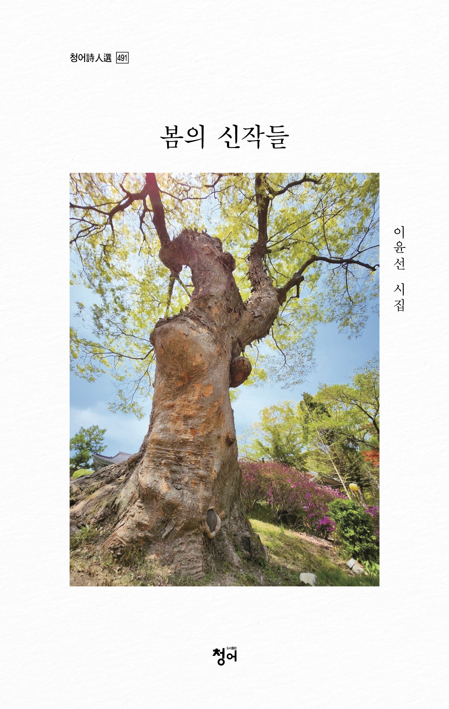 봄의 신작들(청어시인선 491)