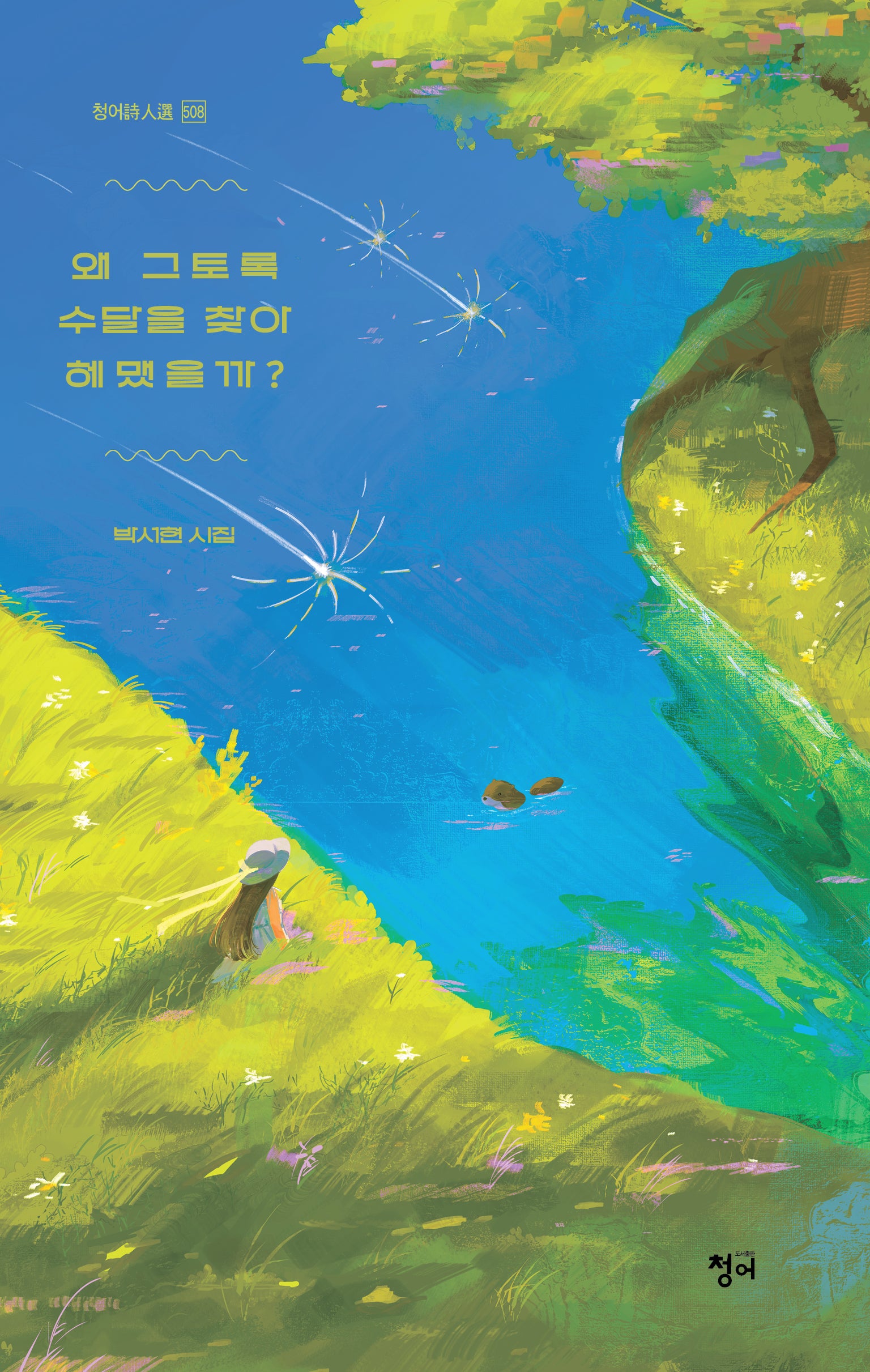 왜 그토록 수달을 찾아 헤맸을까?(청어시인선 508)