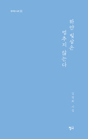 하얀 빛살은 멈추지 않는다(청어시인선 519)