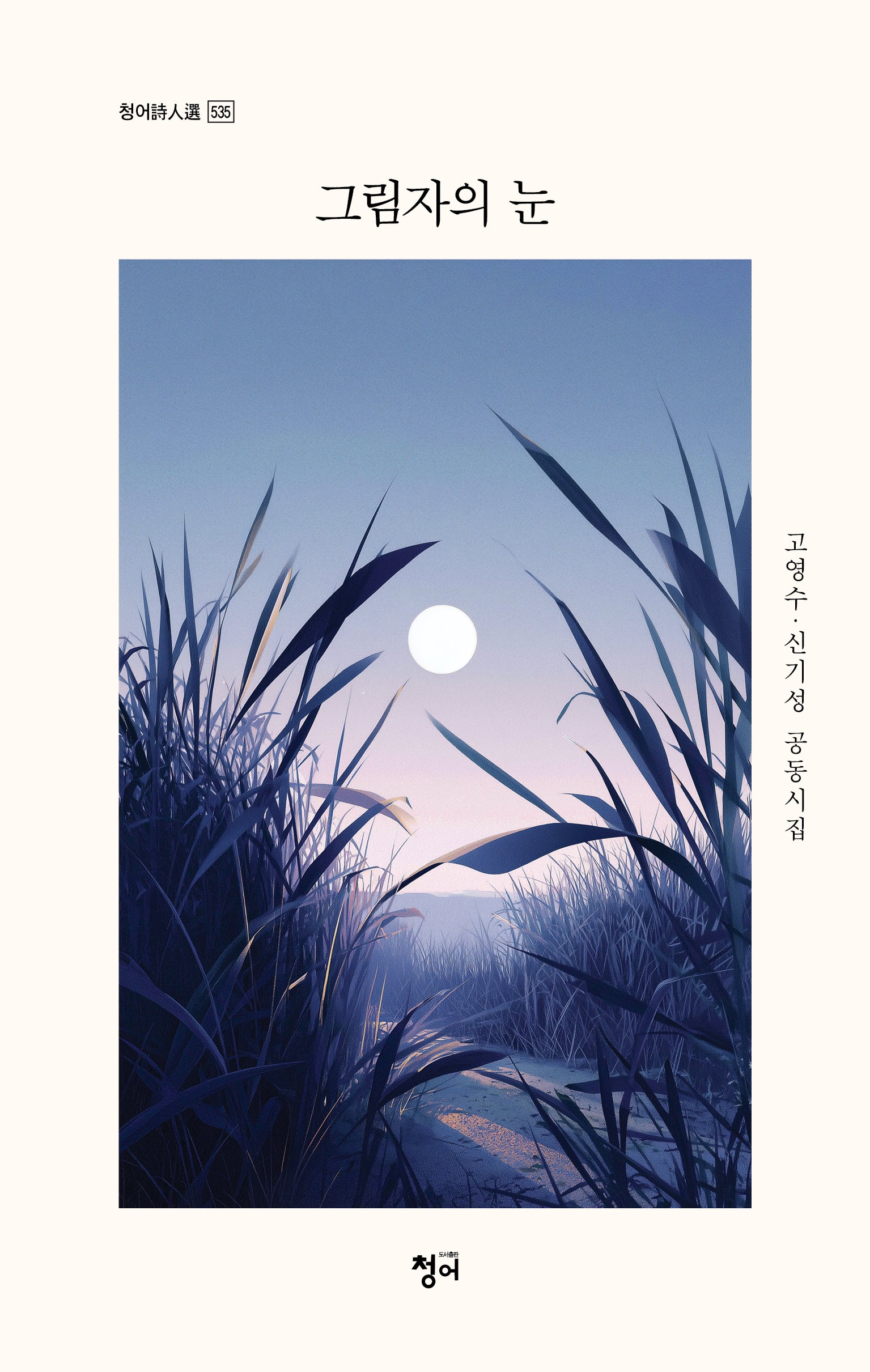 그림자의 눈(청어시인선 535)