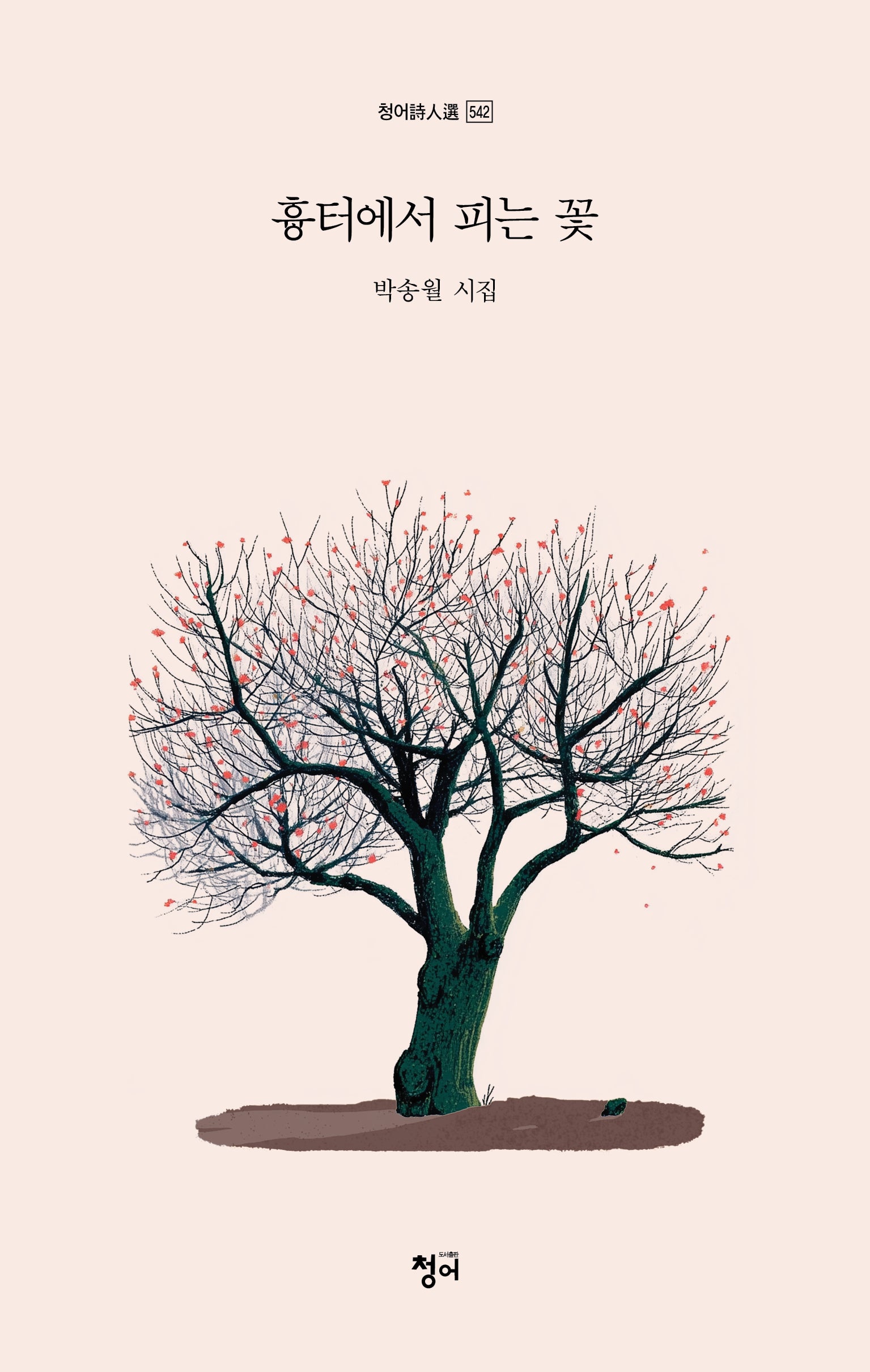 흉터에서 피는 꽃