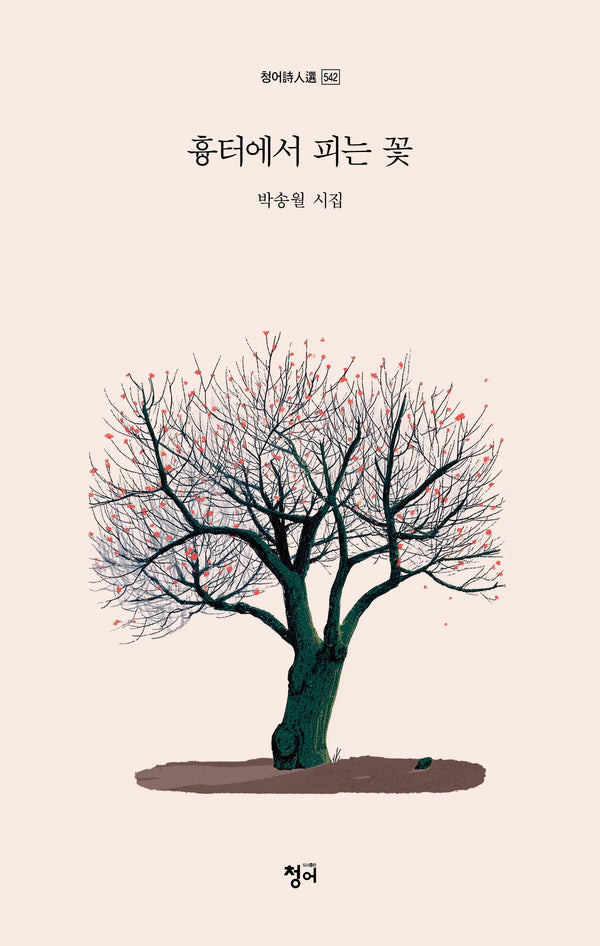 흉터에서 피는 꽃