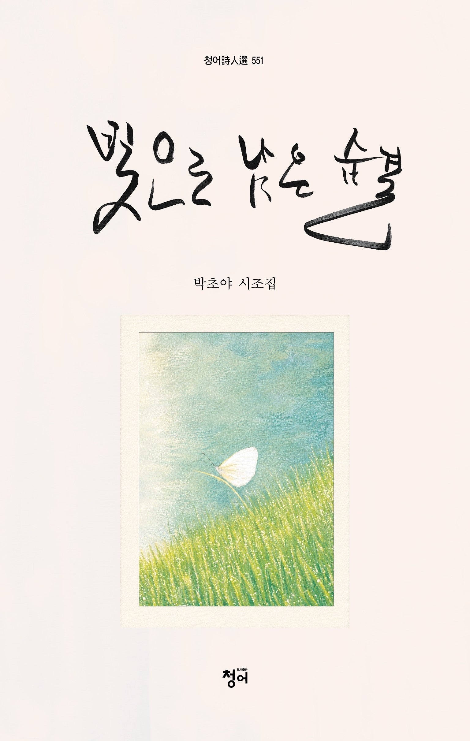 빛으로 남은 숨결(청어시인선 551)