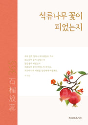 석류나무 꽃이 피었는지(반양장)