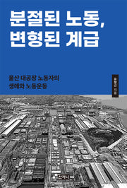분절된 노동, 변형된 계급