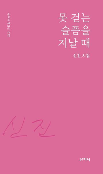 못 걷는 슬픔을 지날 때(산지니시인선 22)