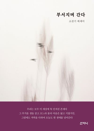 부서지며 간다