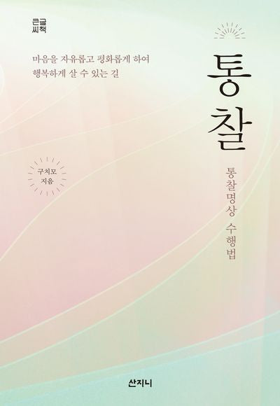 통찰(큰글씨책)