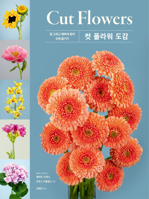 컷 플라워(Cut Flowers) 도감