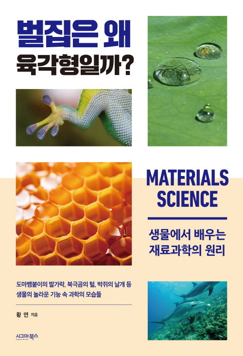 벌집은 왜 육각형일까?