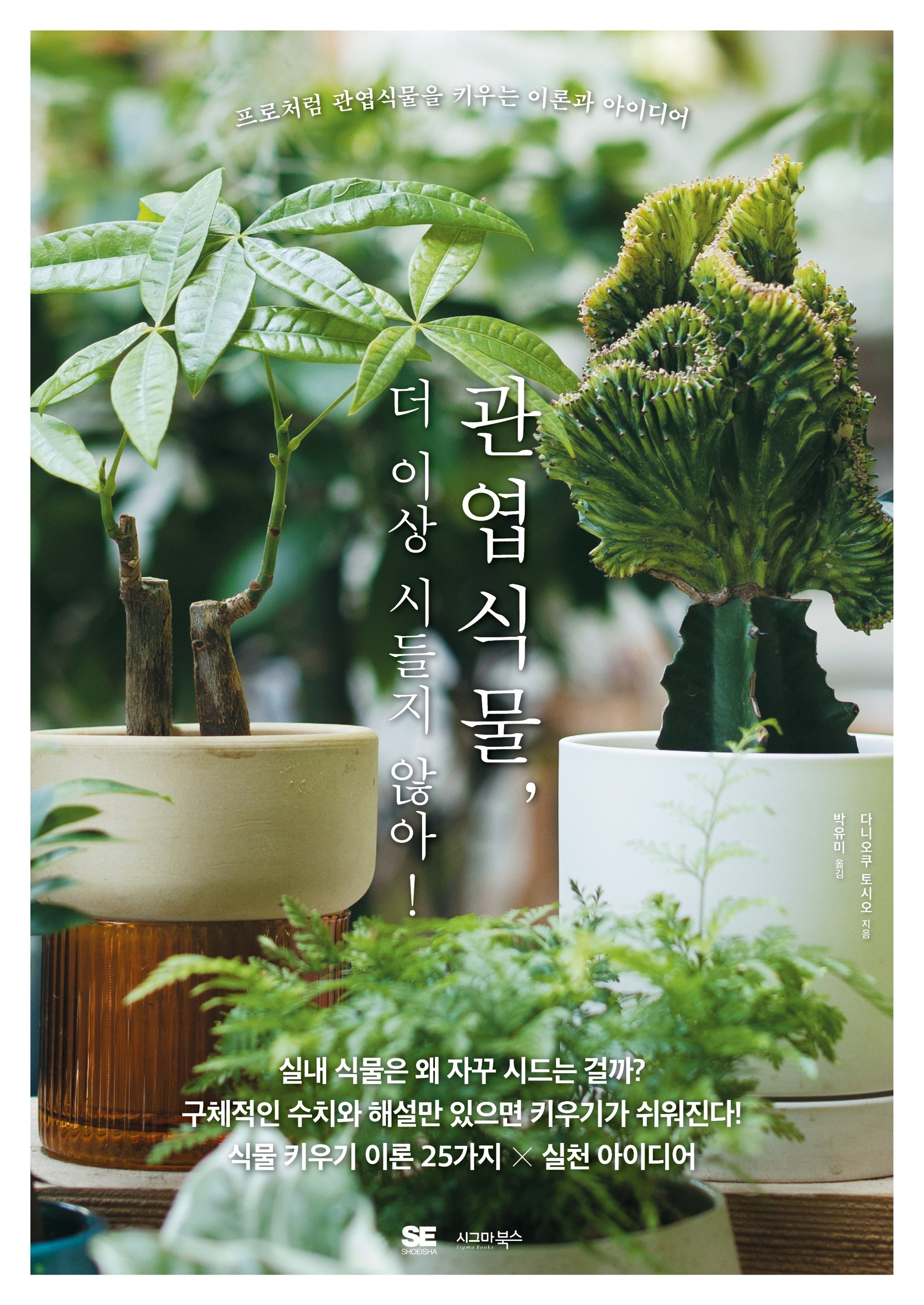 관엽식물, 더 이상 시들지 않아!