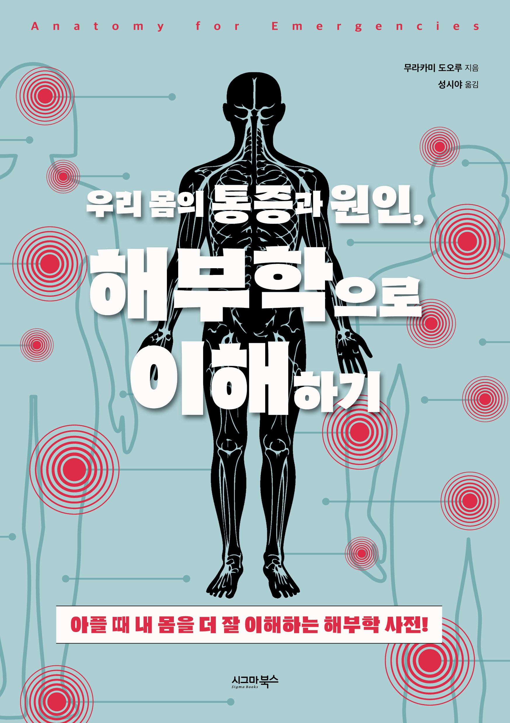우리 몸의 통증과 원인, 해부학으로 이해하기