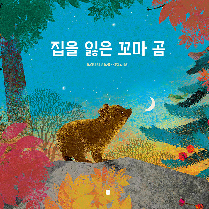 집을 잃은 꼬마 곰(아름다운 그림책 129)