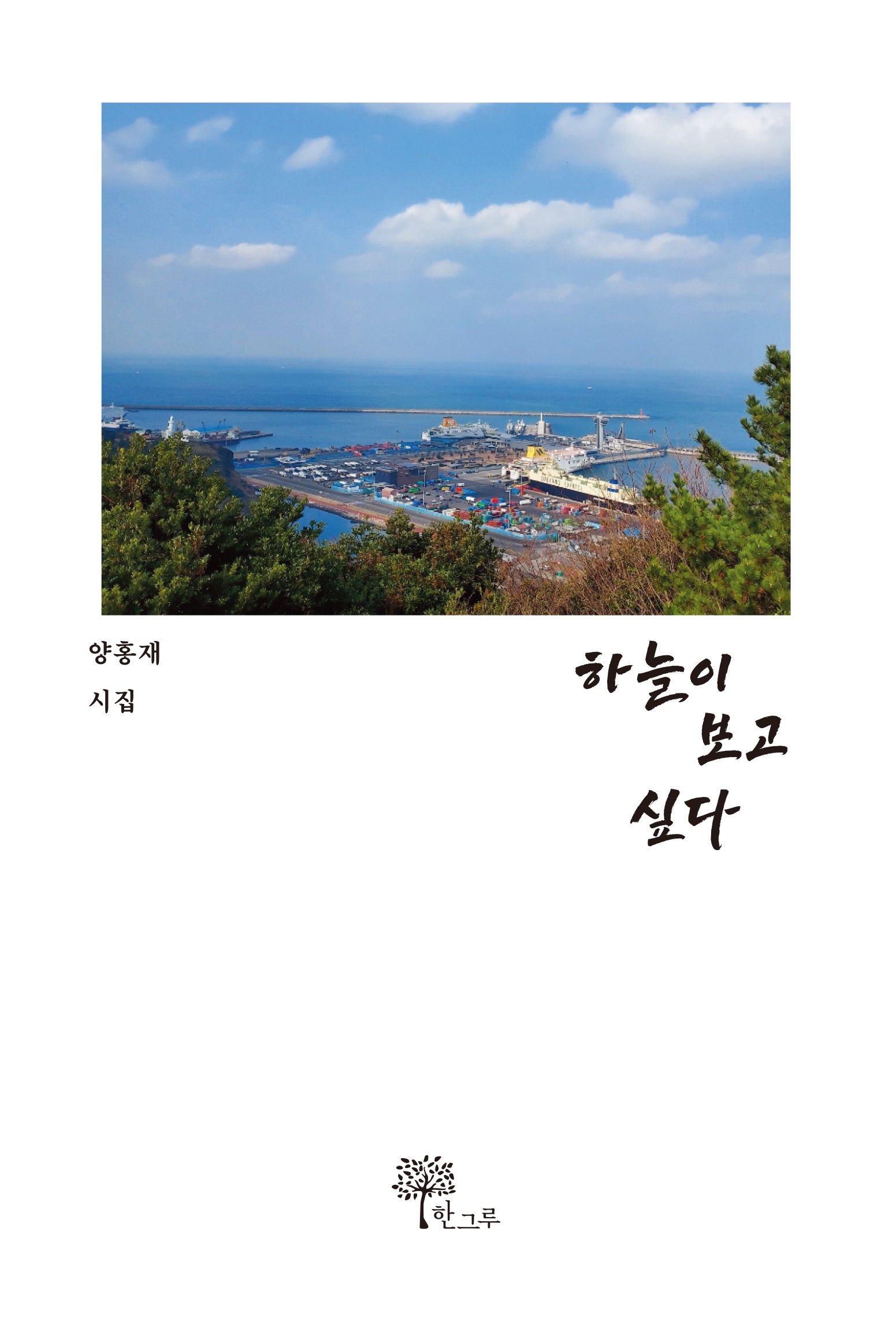 하늘이 보고 싶다(한그루 시선 38)(양장본 Hardcover)